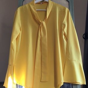 Flutter sleeve, tie front blouse.